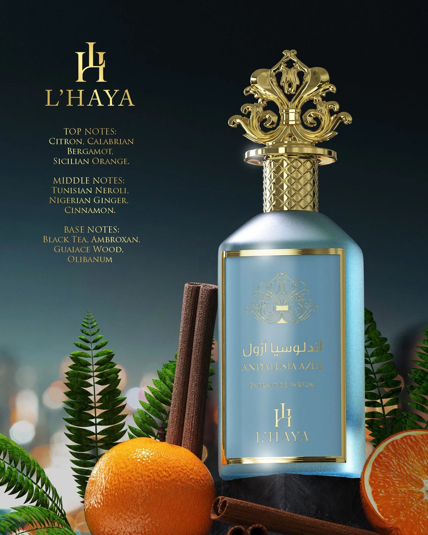 Andalucía Azul de L'haya